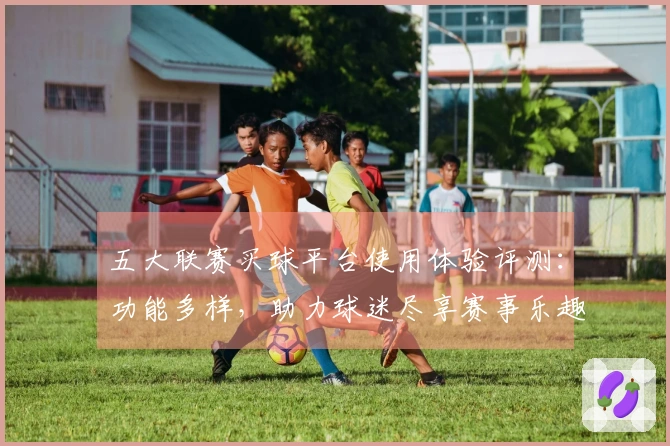 五大联赛买球平台使用体验评测：功能多样，助力球迷尽享赛事乐趣