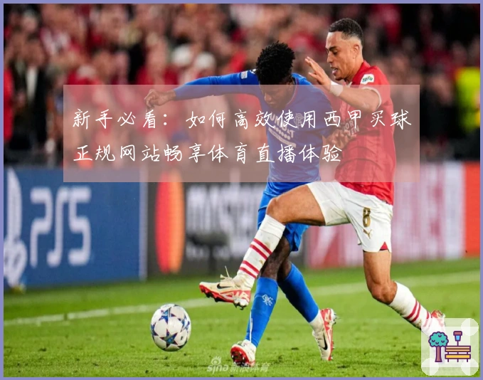 新手必看：如何高效使用西甲买球正规网站畅享体育直播体验