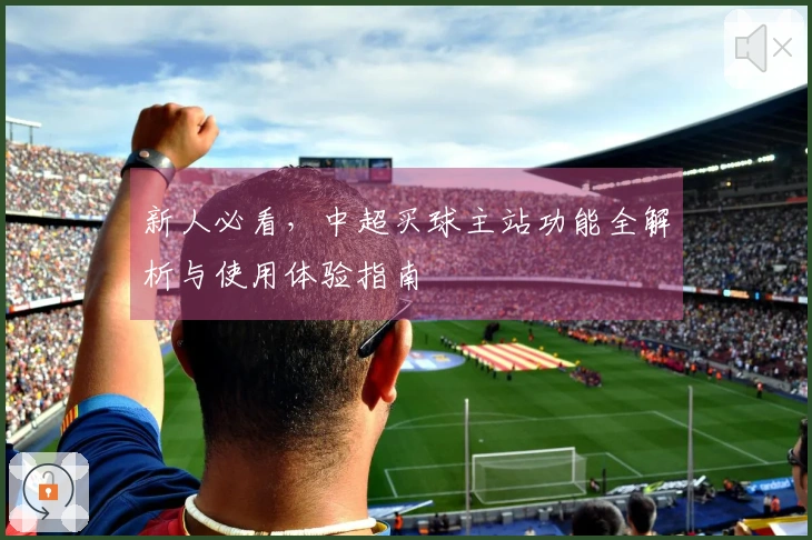 新人必看，中超买球主站功能全解析与使用体验指南