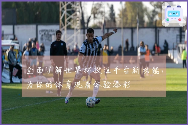 全面了解世界杯投注平台新功能，为你的体育观看体验添彩
