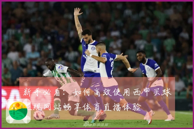 新手必看：如何高效使用西甲买球正规网站畅享体育直播体验